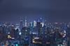 shanghai-cityscape1.jpg