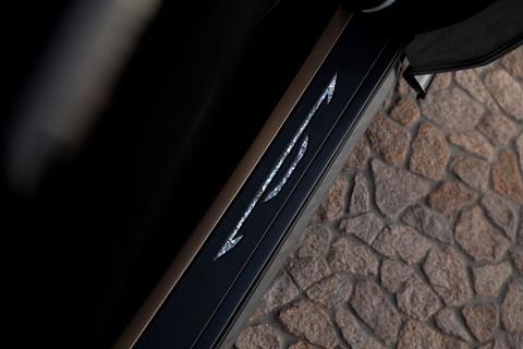 Chrysler Halycon door detail