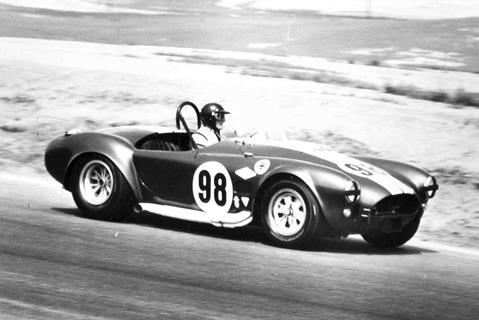Cobra-01.jpg