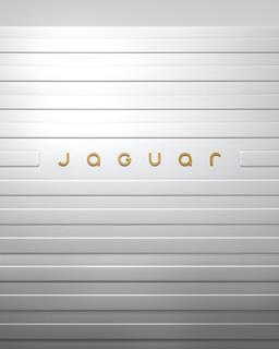 JAGUAR_DEVICE_MARK_4X5_191124