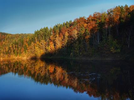 Izera mountains Autumn forest