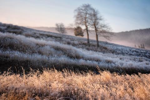 Izera mountains frost