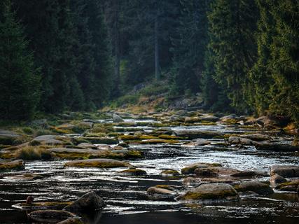 Izera mountains river