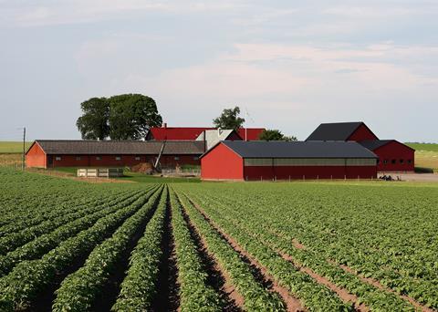 Farm_Kartoffelfeld_Schweden